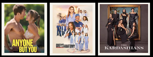 The students of leesvilles favorite TV shows and movies
