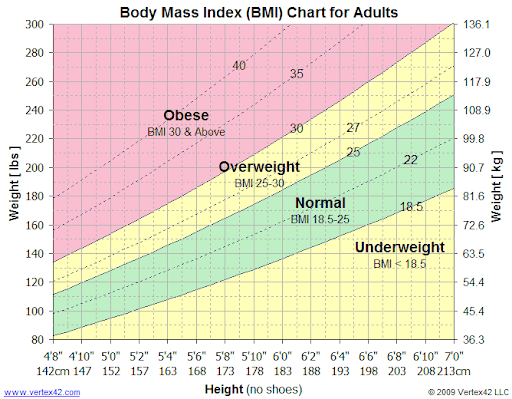 The effects of the BMI scale on teens