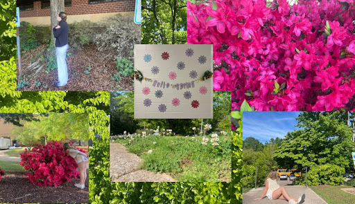 Spring has sprung at Leesville Road High School