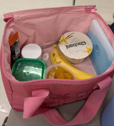 the differences in School lunch and packed lunch
