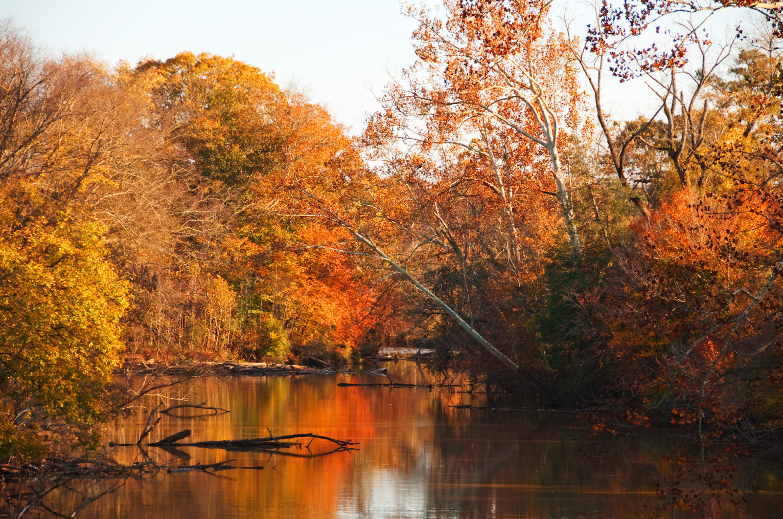 Fun Fall Activities in North Carolina
