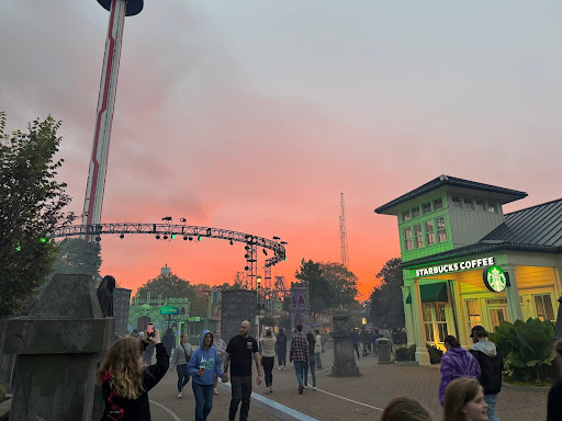 Is Scarowins Worth the Money?