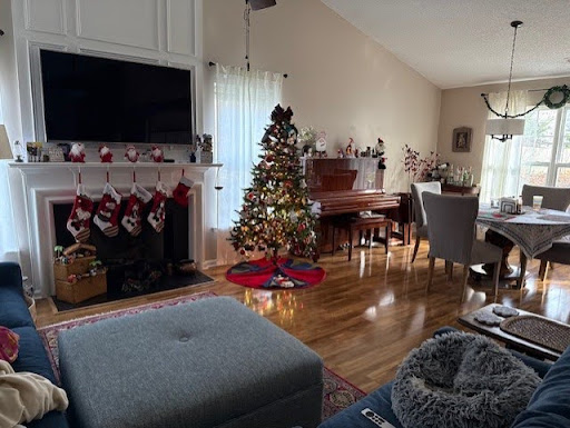 What is the Best Christmas Movie Genre?