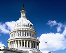 Every politician should need a 5 in AP  Government